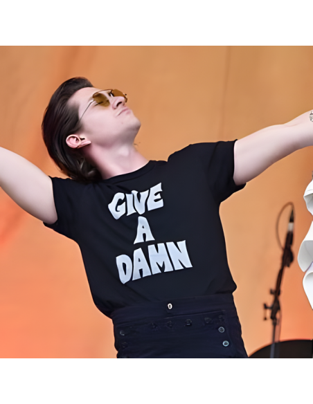 Camiseta Alex Turner Give a Damn