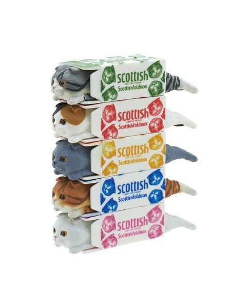 Putitto Gato Scottish Tissue