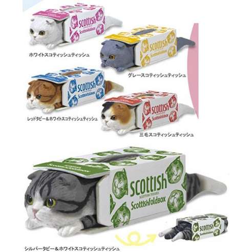 Putitto Gato Scottish Tissue