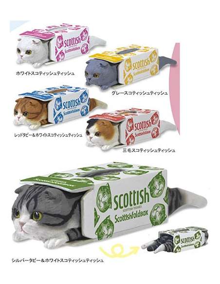 Putitto Gato Scottish Tissue