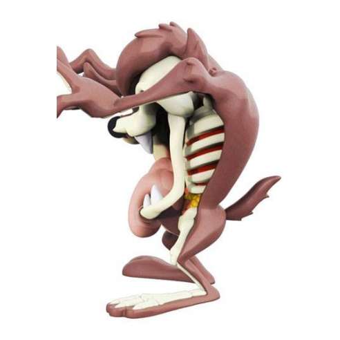 Demonio de Tasmania (XXRAY) by Jason Freeny