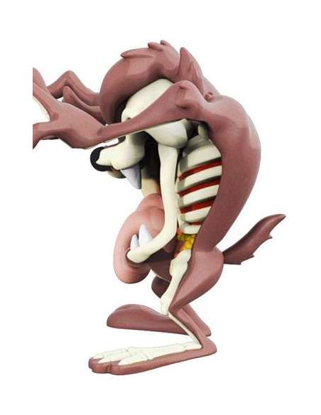 Demonio de Tasmania (XXRAY) by Jason Freeny