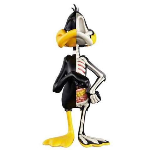 Pato Lucas Daffy Duck (XXRAY) by Jason Freeny