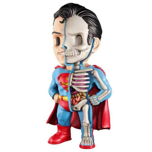 Superman DC Comics (XXRAY) by Jason Freeny