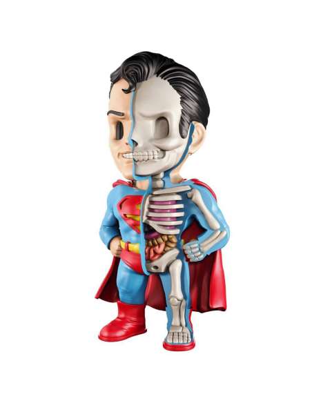 Superman DC Comics (XXRAY) by Jason Freeny