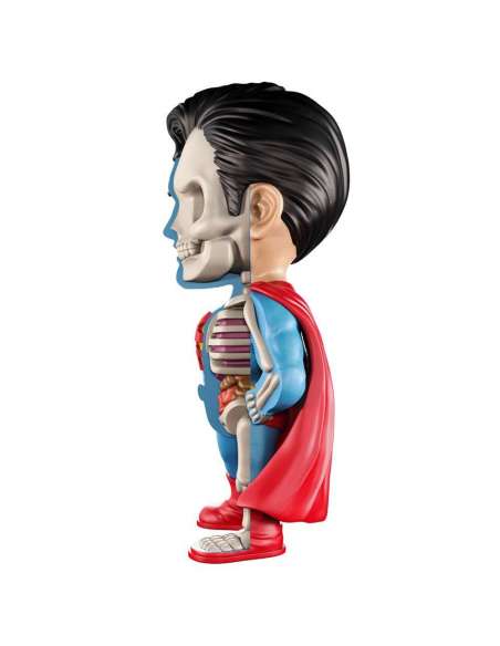 Superman DC Comics (XXRAY) by Jason Freeny