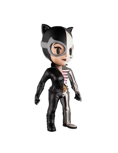 Catwoman DC Comics (XXRAY) by Jason Freeny