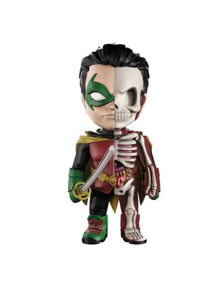 Robin DC Comics (XXRAY) by Jason Freeny