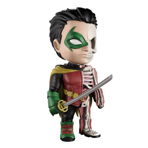 Robin DC Comics (XXRAY) by Jason Freeny